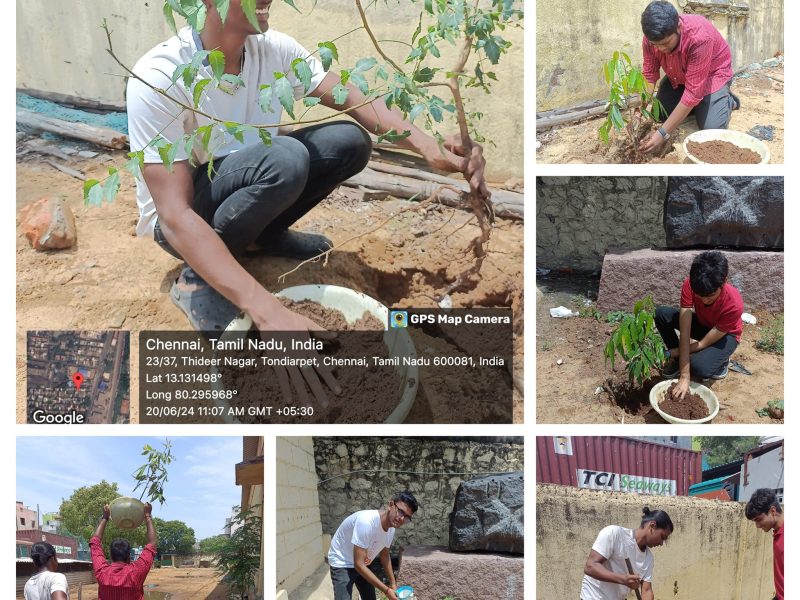 Nurturing Nature, Shaping Hearts